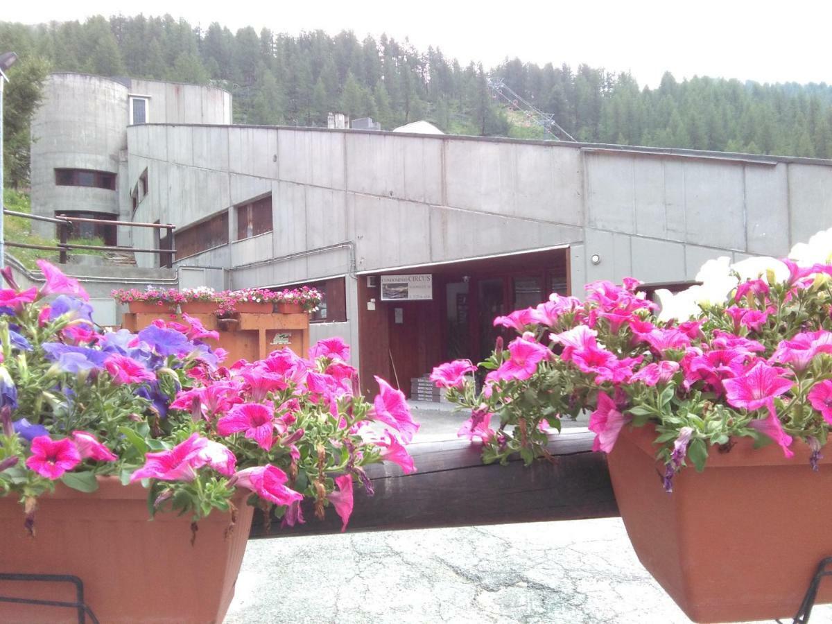 Soldanella Cervinia Apartment Vda Vacanze In Vetta Cir 0253 브루일서비니아 외부 사진