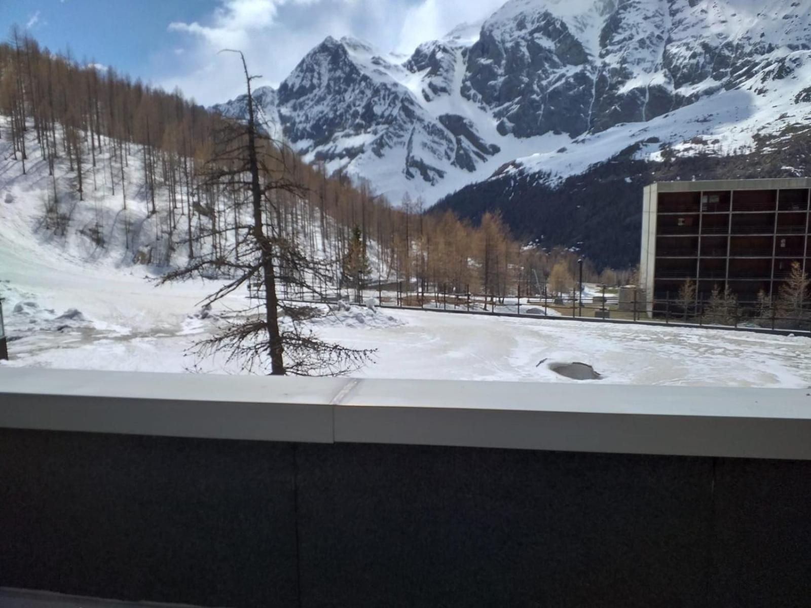 Soldanella Cervinia Apartment Vda Vacanze In Vetta Cir 0253 브루일서비니아 외부 사진