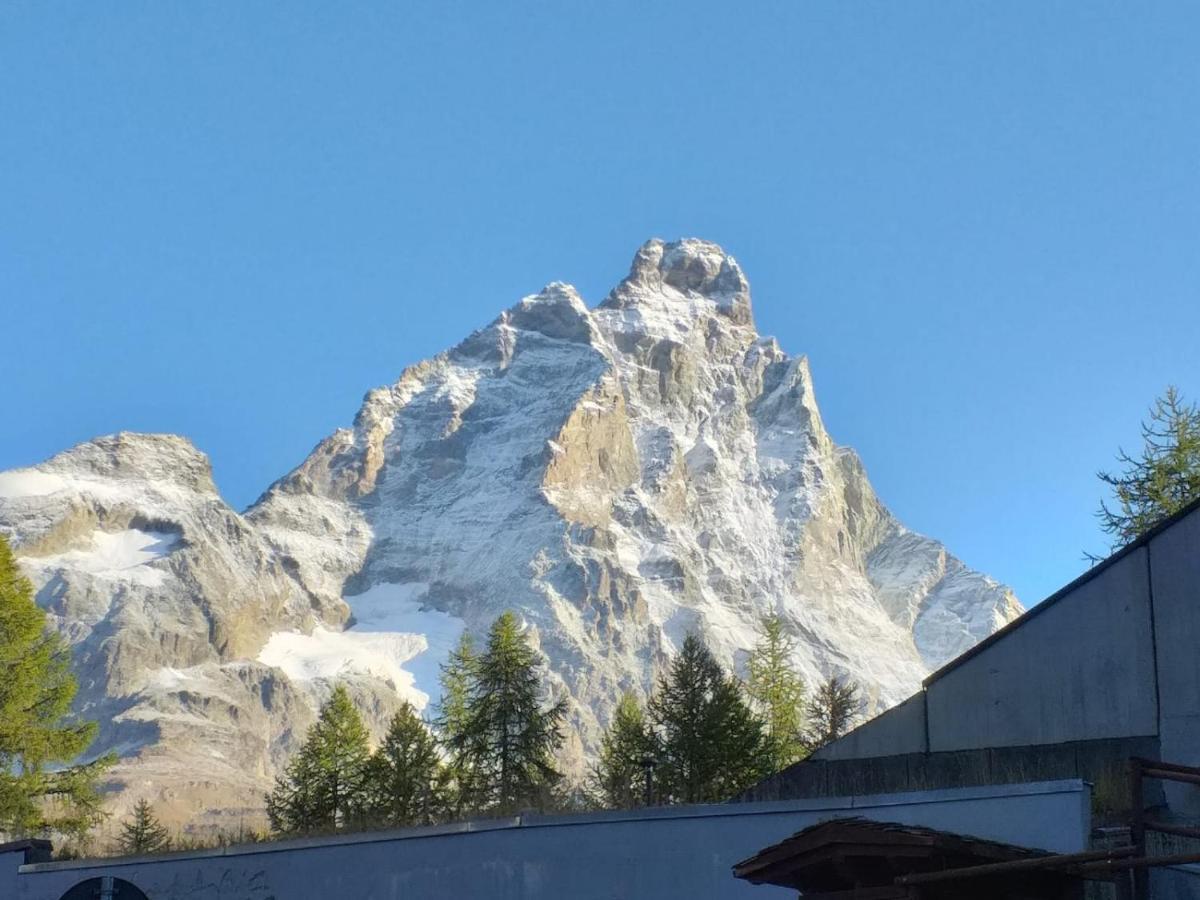 Soldanella Cervinia Apartment Vda Vacanze In Vetta Cir 0253 브루일서비니아 외부 사진